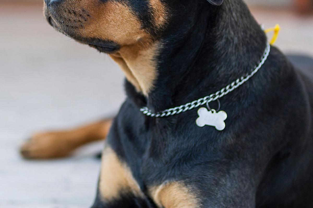 Home Renovations Gold Coast