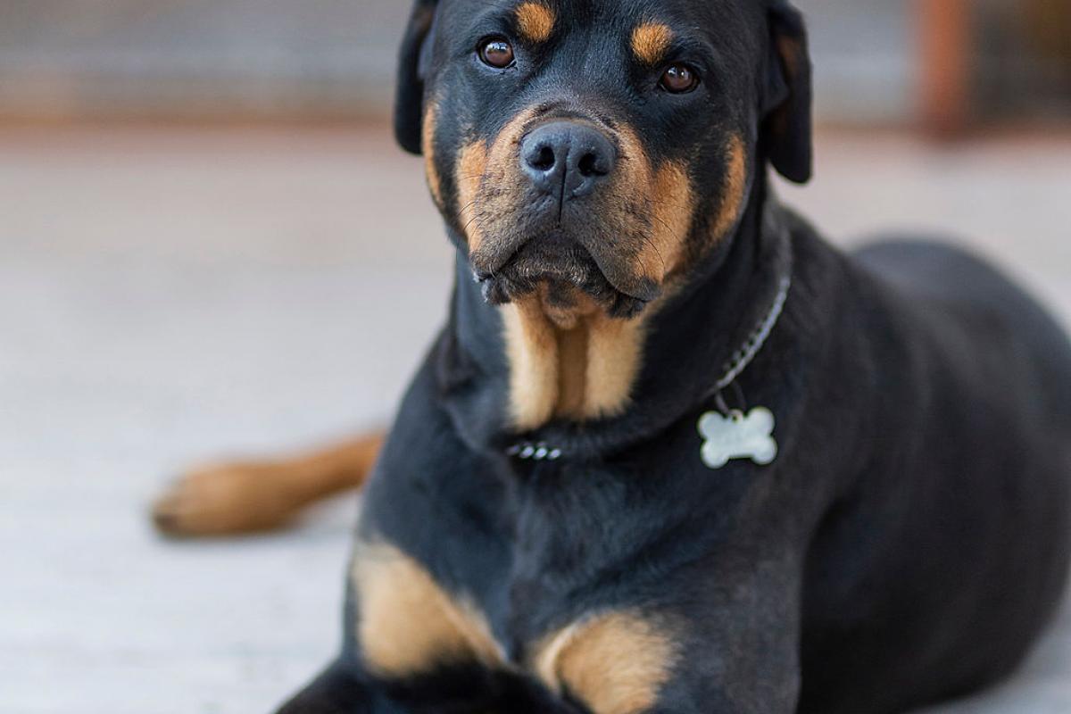 Home Renovations Gold Coast